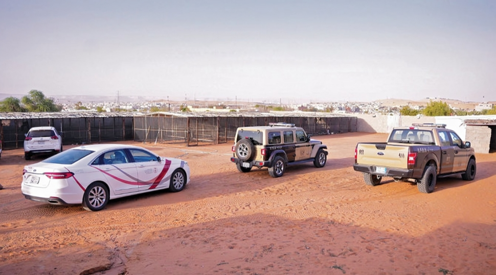 Saudi Arabia’s Automotive Market Surges Amid Shifting Consumer Preferences	