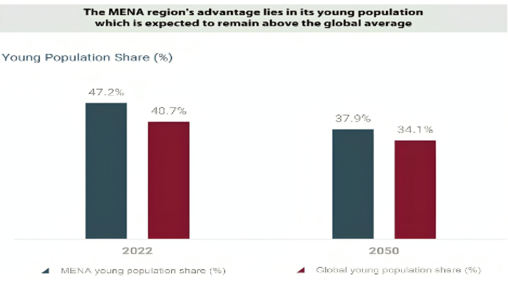 MENA Region: Capitalising on Global Trends, Unlocking Growth Prospects	
