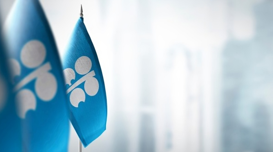 OPEC Raises Global Economic Growth Rate Projection to 2.9%	