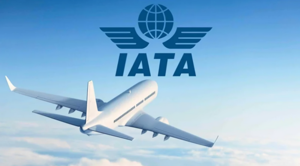 Middle Eastern Airlines See 9.6% Year-on-Year Increase in June Passenger Demand: IATA	
