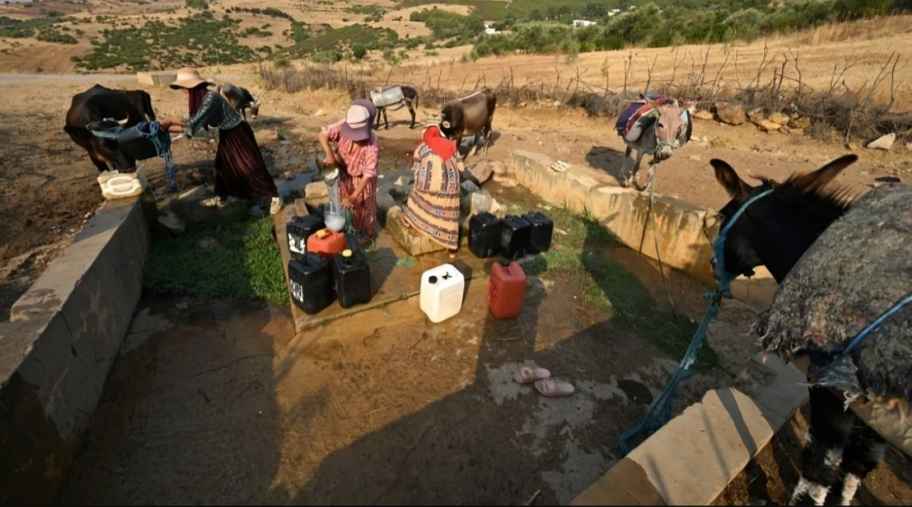 Power Cuts Leave Tunisia’s Farms in Ruin