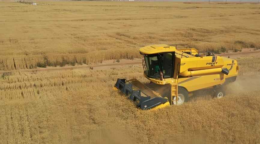 Oman’s Agriculture, Fishing Sectors Record Growth in Q1