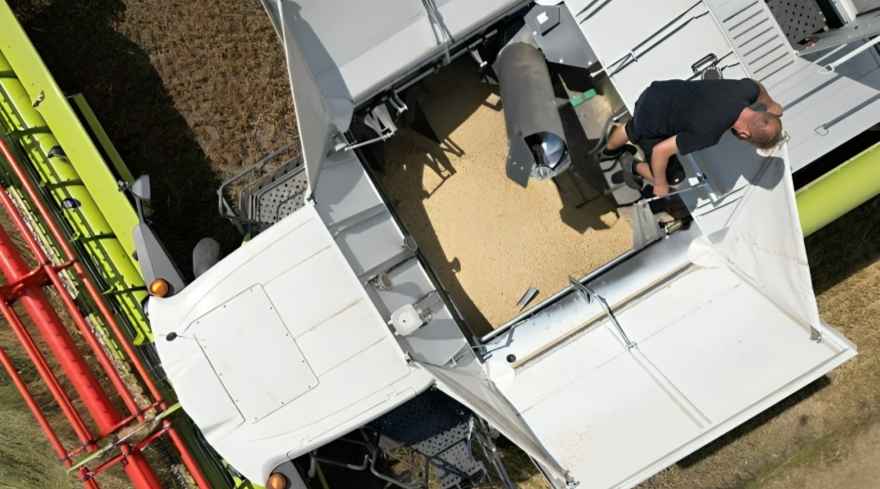 Germany’s Economic Sentiment Improves Despite Weak Growth and Farm Woes