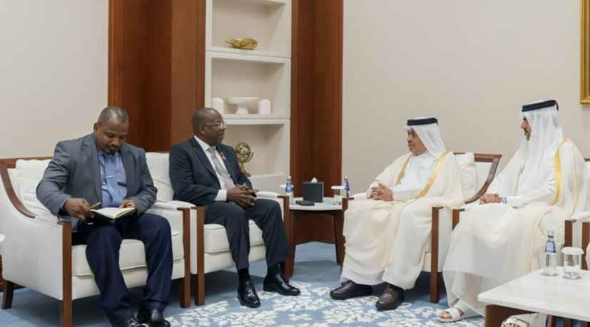 Qatar, Tanzania Agree To Curb Tax Evasion