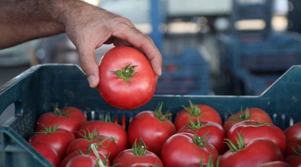 Turkiye’s Vegetable Exports Hit $823 Mn in Nine Months
