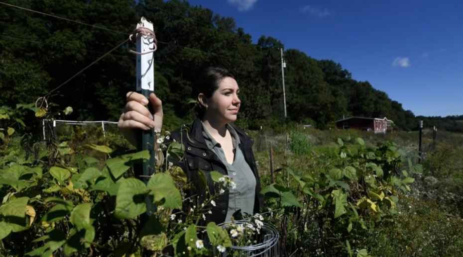 Pennsylvania Residents Spurn $10,000 Data Centre Checks