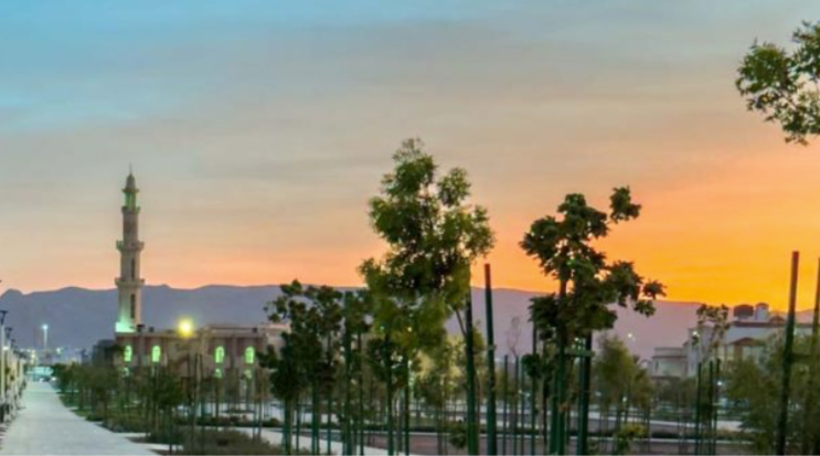 Madinah Expands Business Support and Investment Opportunities